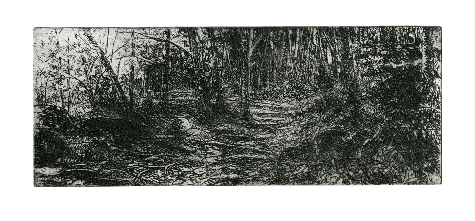 Austin Cole RE, A Walk in Betws Y Coed