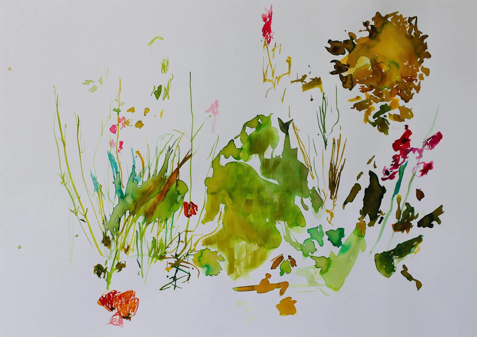 David Hamilton RWS, June Garden 2