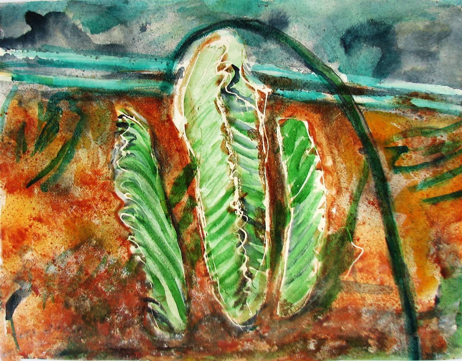 Agathe Sorel RWS RE, Cactus and Hosepipe