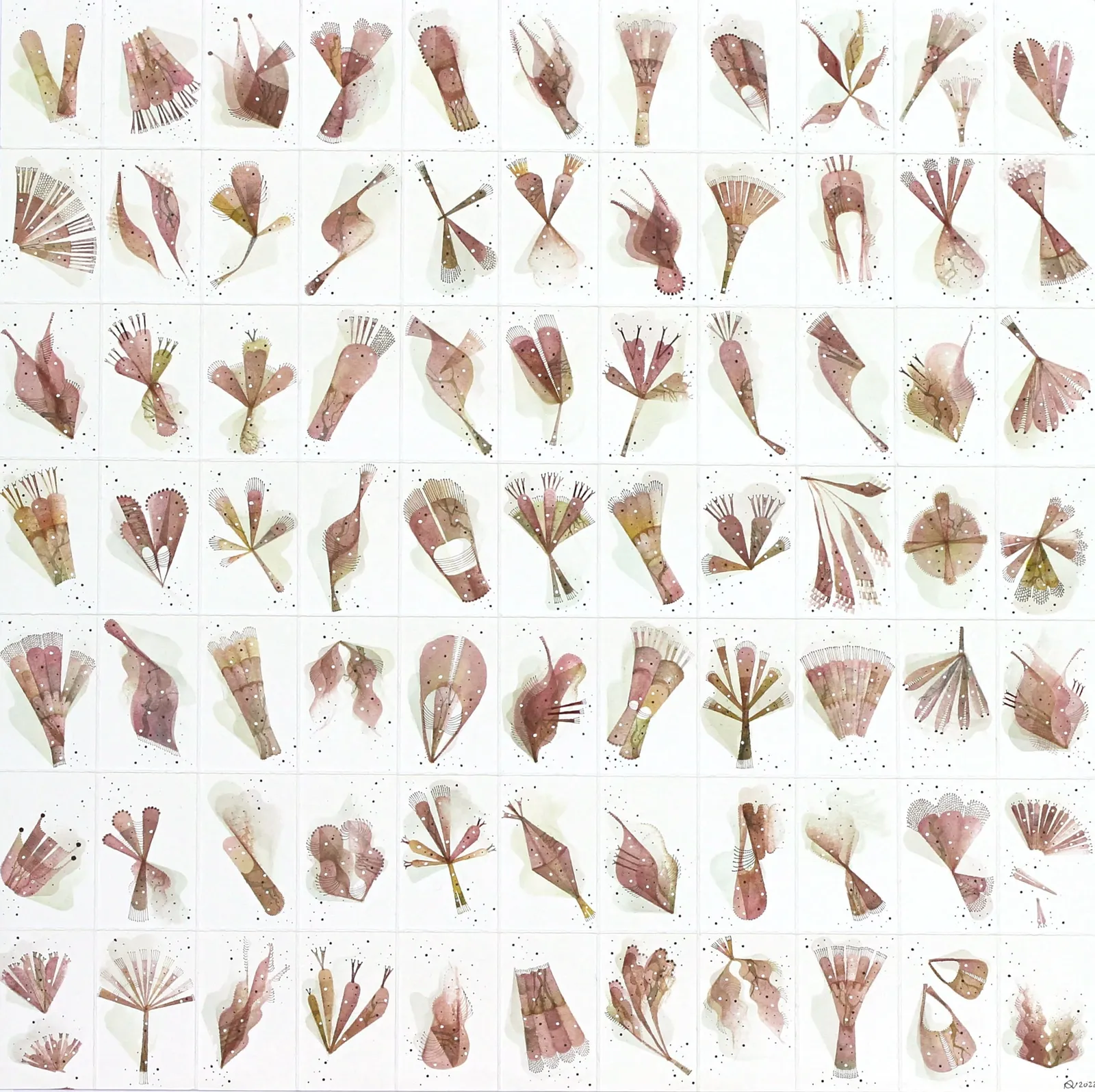 Rika Newcombe RWS, Florilegium No.9