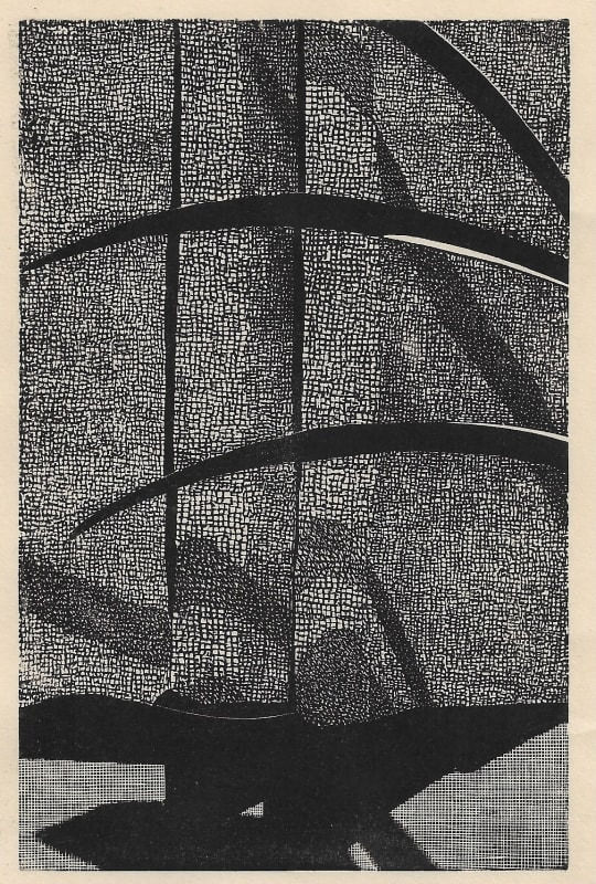 Peter S. Smith RE, Amaryllis No. 36