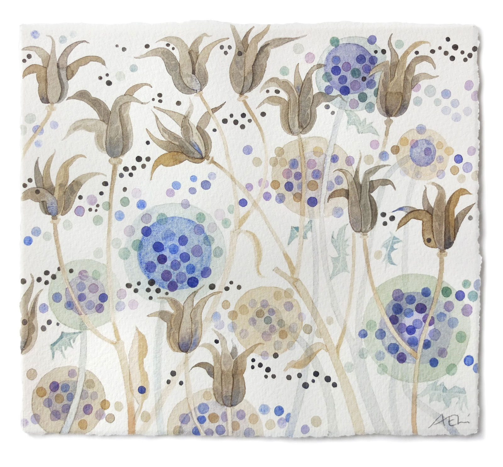 Angie Lewin RWS RE, Echinops and Aquilegia