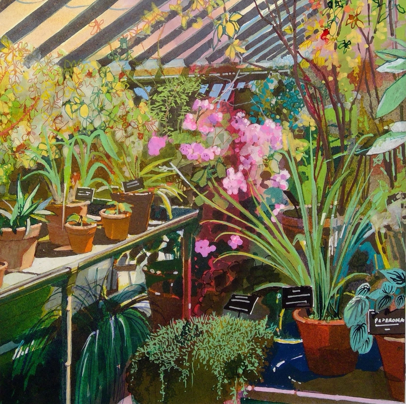 Claire Denny RWS, Chelsea Physic Garden Glasshouse