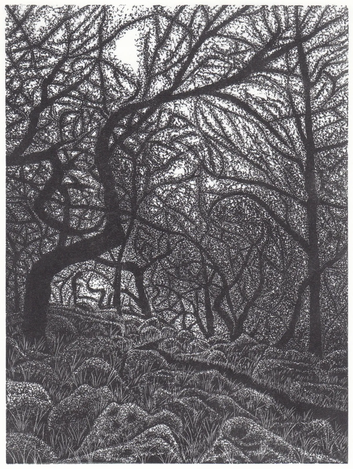 David Robertson ARE, Trail