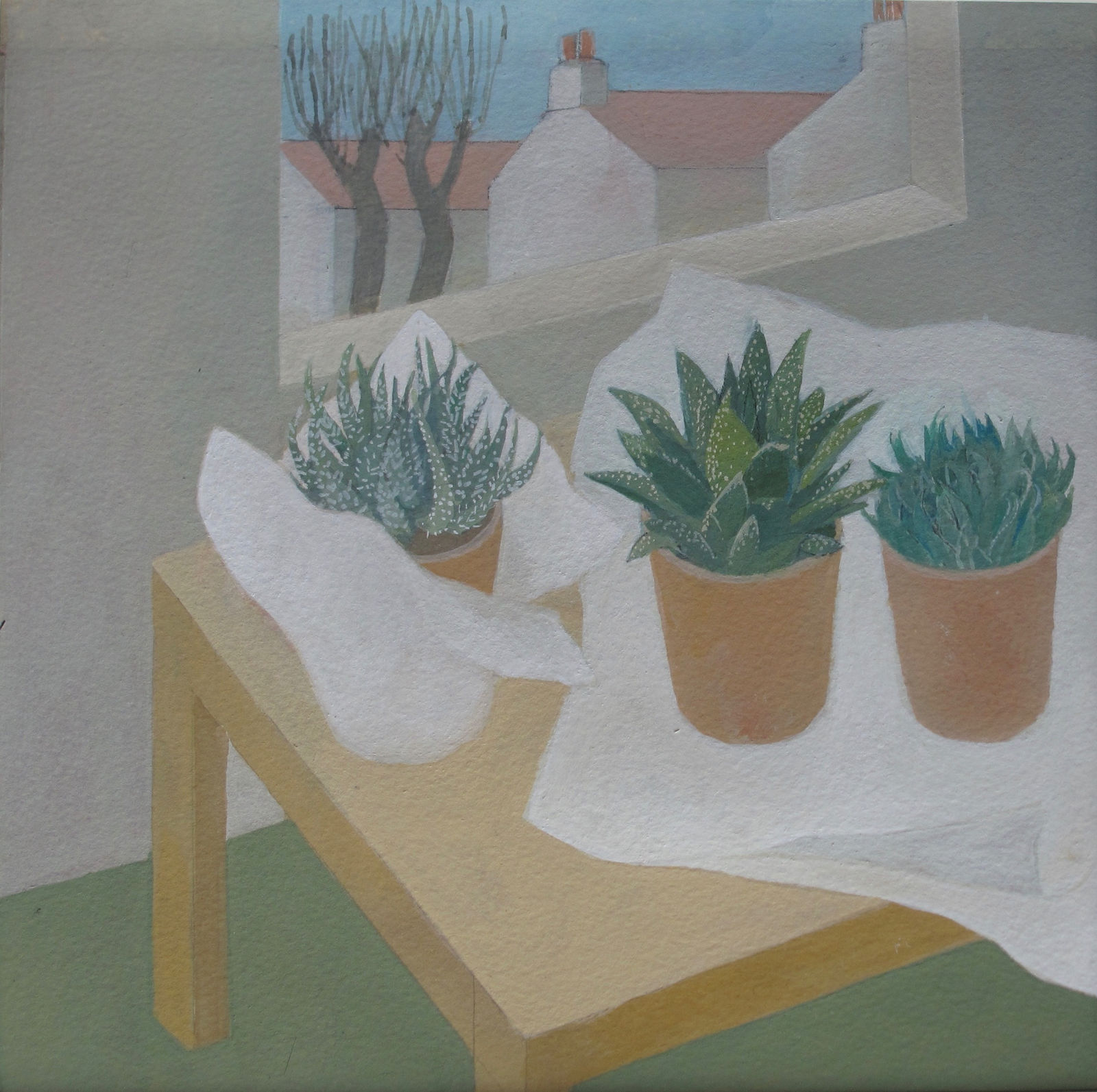 Wendy Jacob RWS, Three New Plants