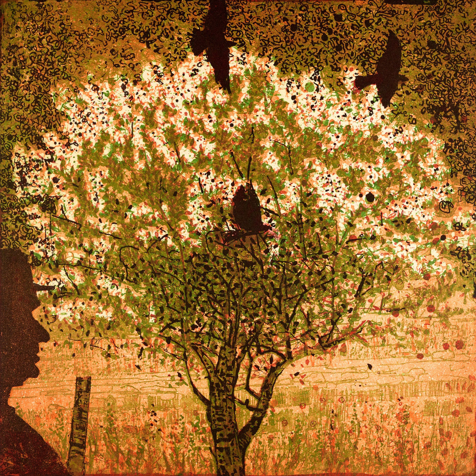 Niall Naessens ARE, This Artist and Sceach