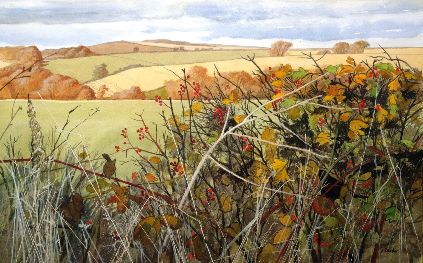 Jim Dunbar RWS, Hawthorn and Brambles
