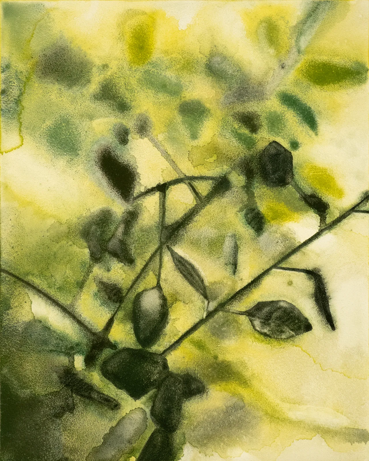 Noah Carter Guest RWS, Greenhouse III