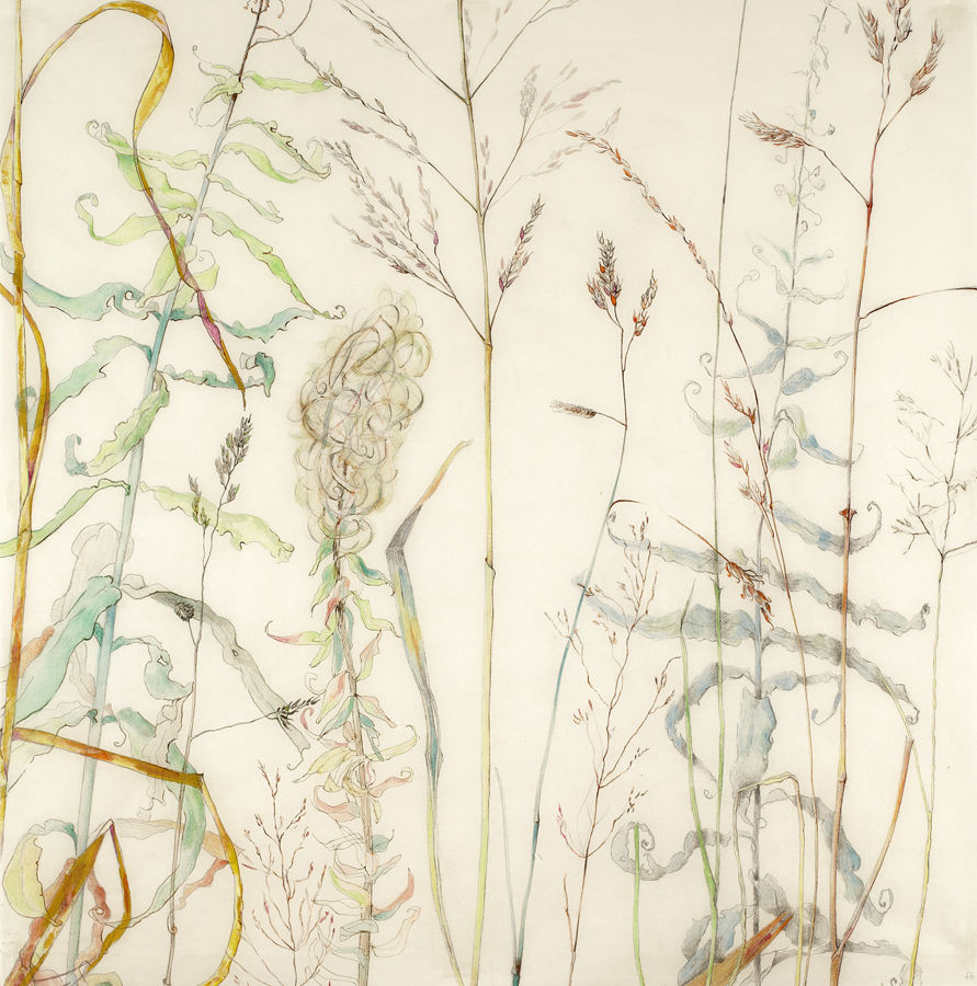 Fay Ballard RWS, Grasses
