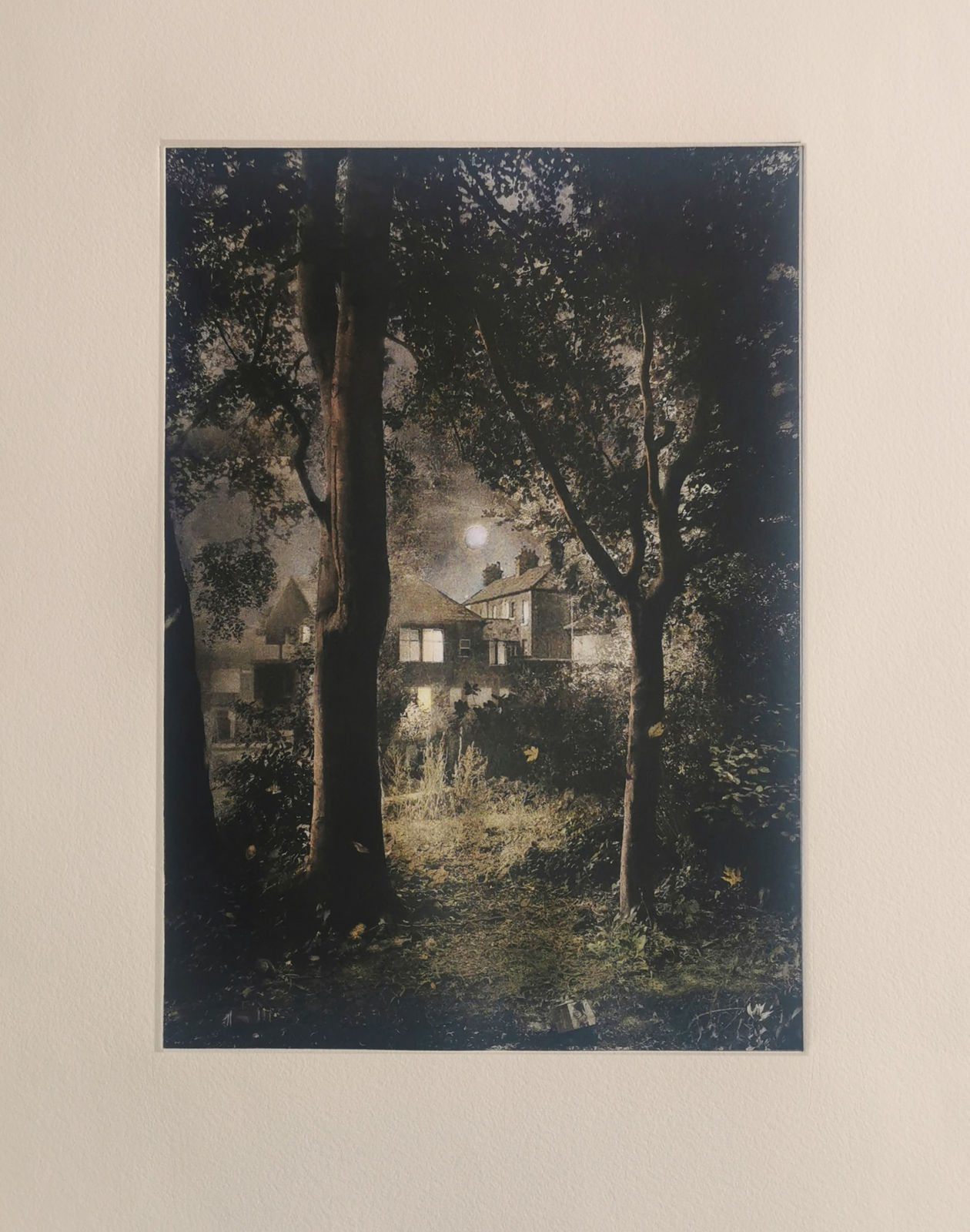 Suzanne Moxhay ARE, Woods