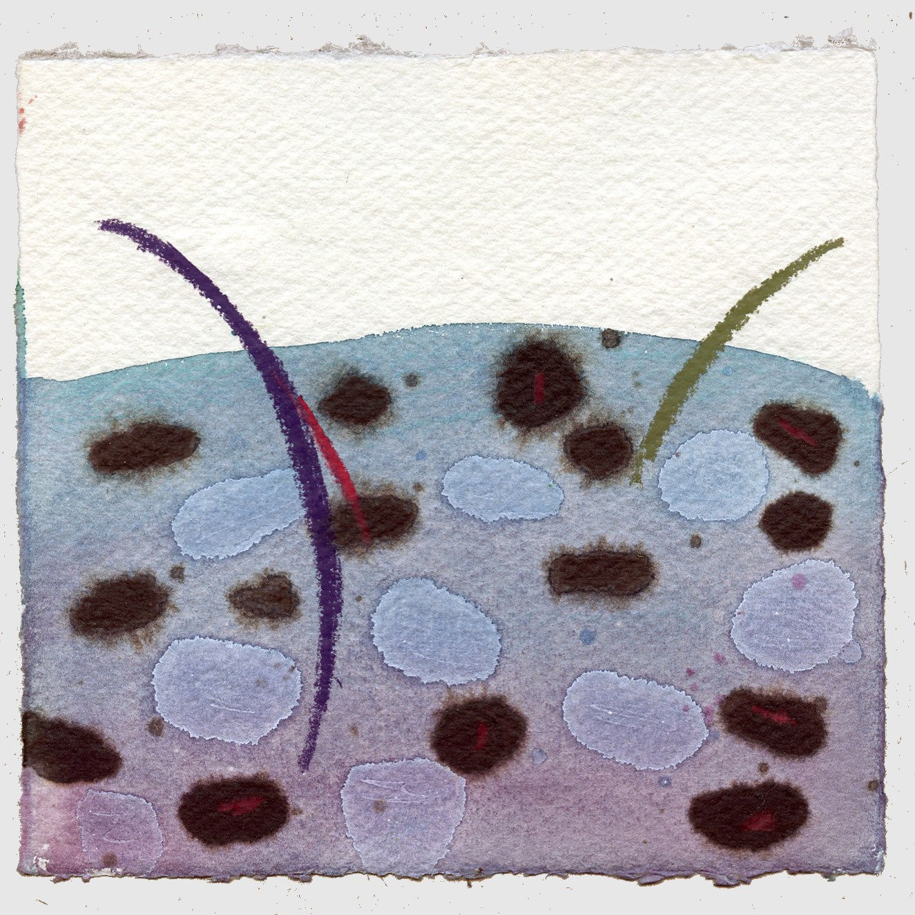 Miao Tan ARWS, Ground