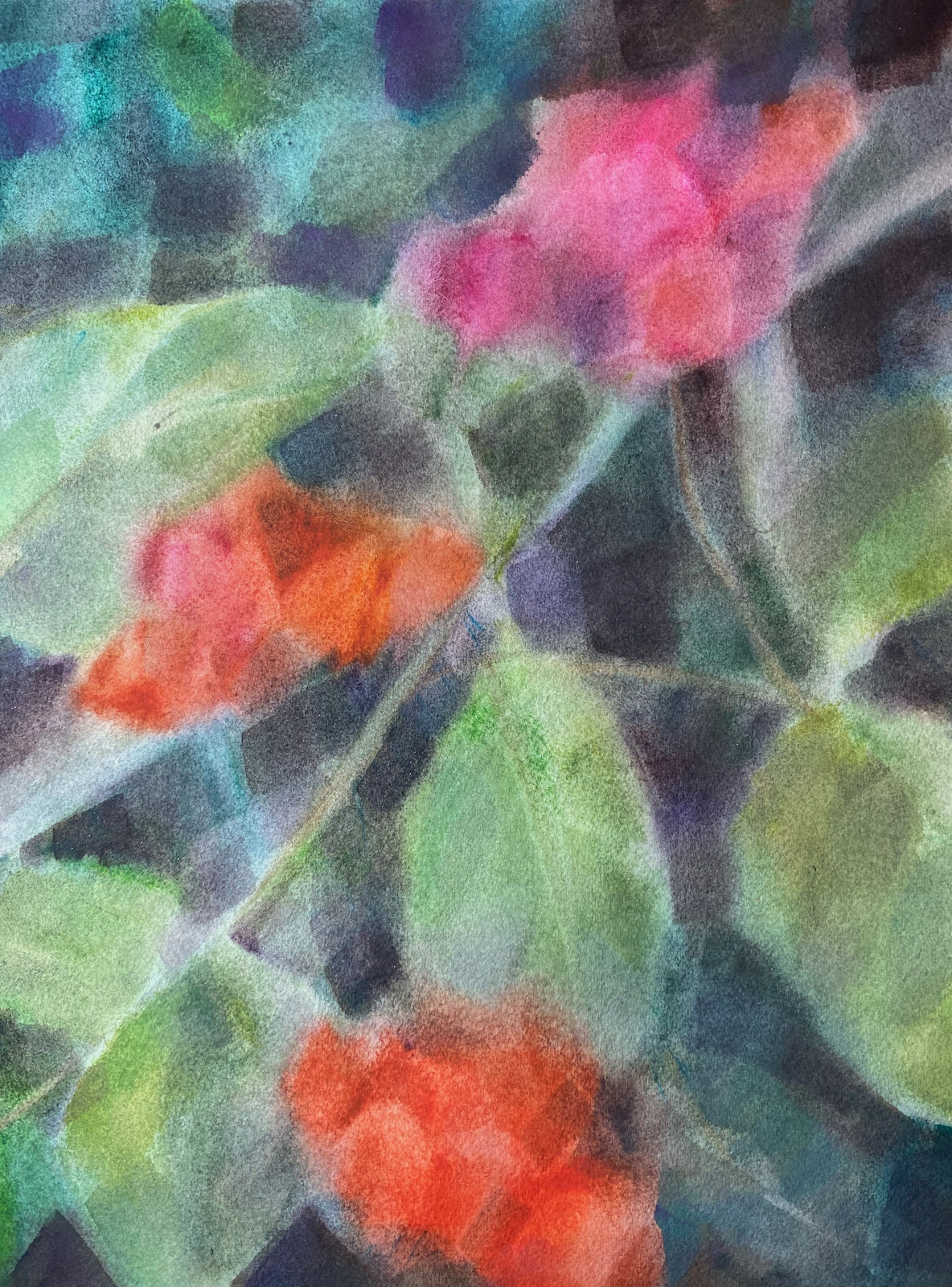 Anna Schefer, Flaming Glory (from the Birmingham Botanical Gardens Series)