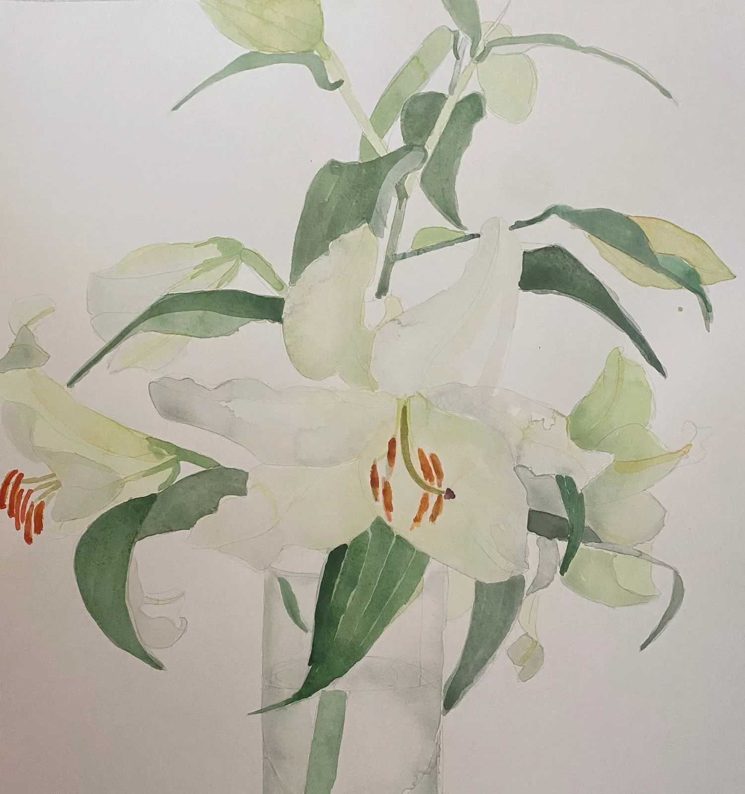 Jill Leman PPRWS Hon. RE, Lily