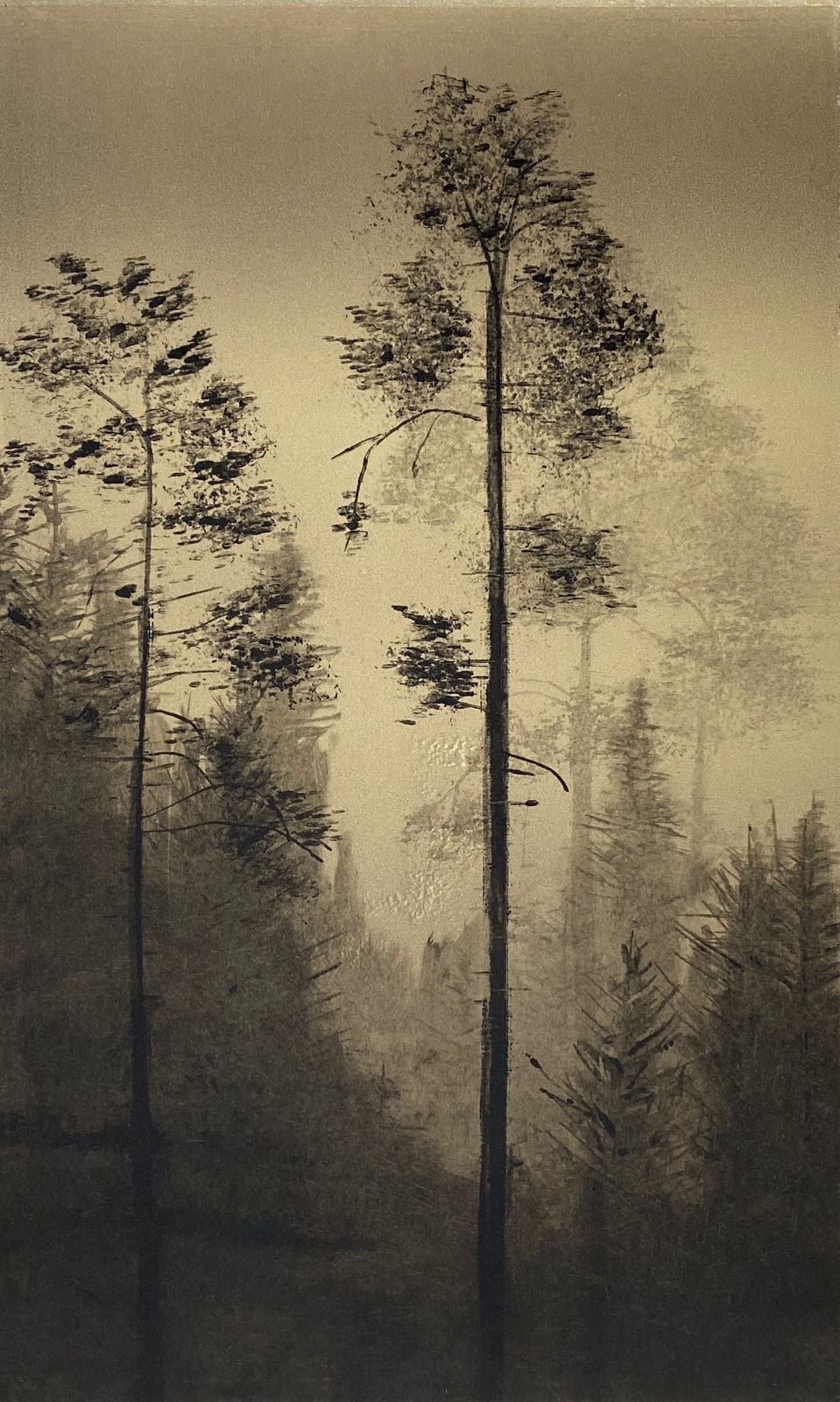 Fiona Fouhy ARE, Flourishing