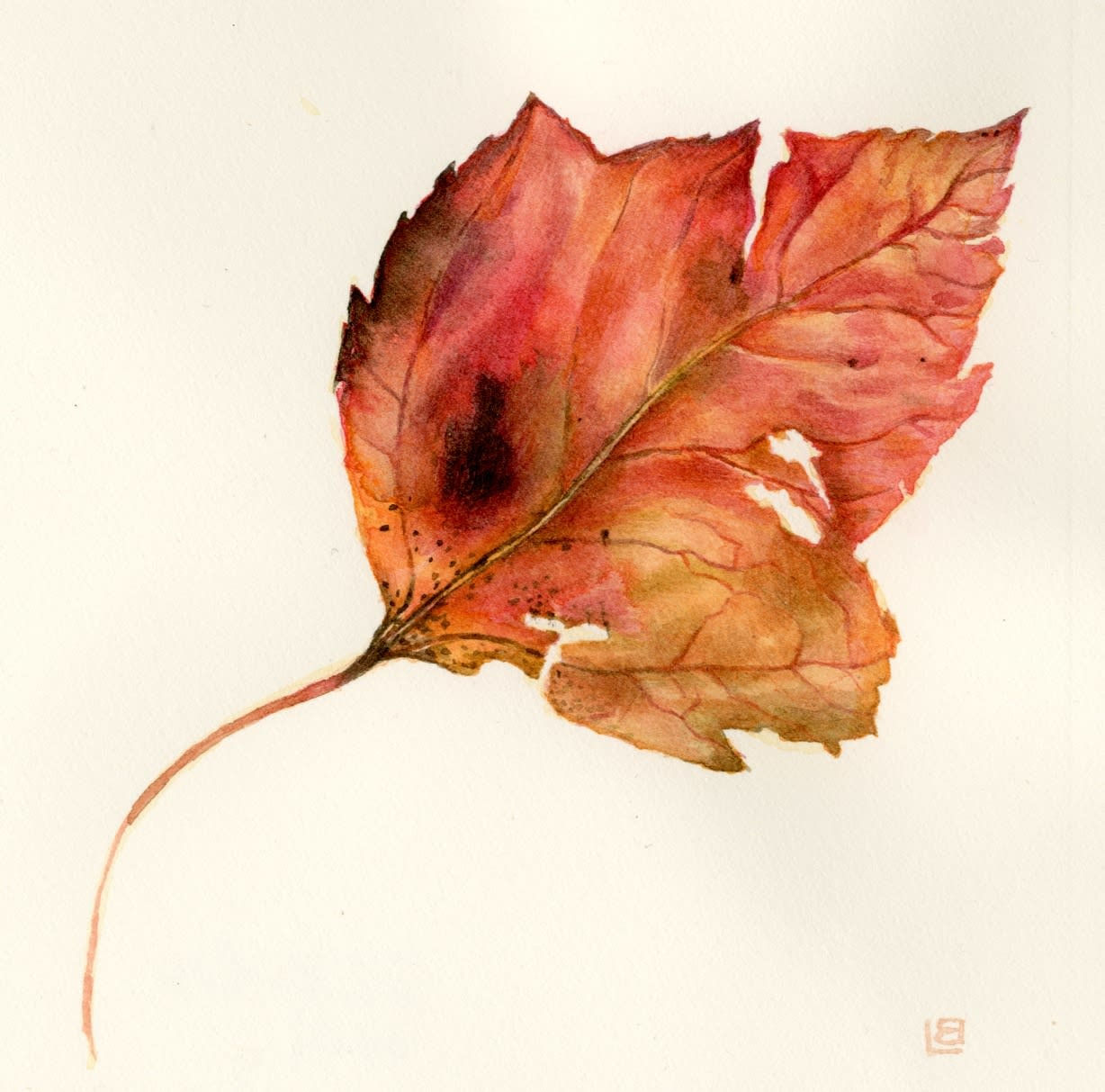 Liz Butler RWS, Maple Leaf