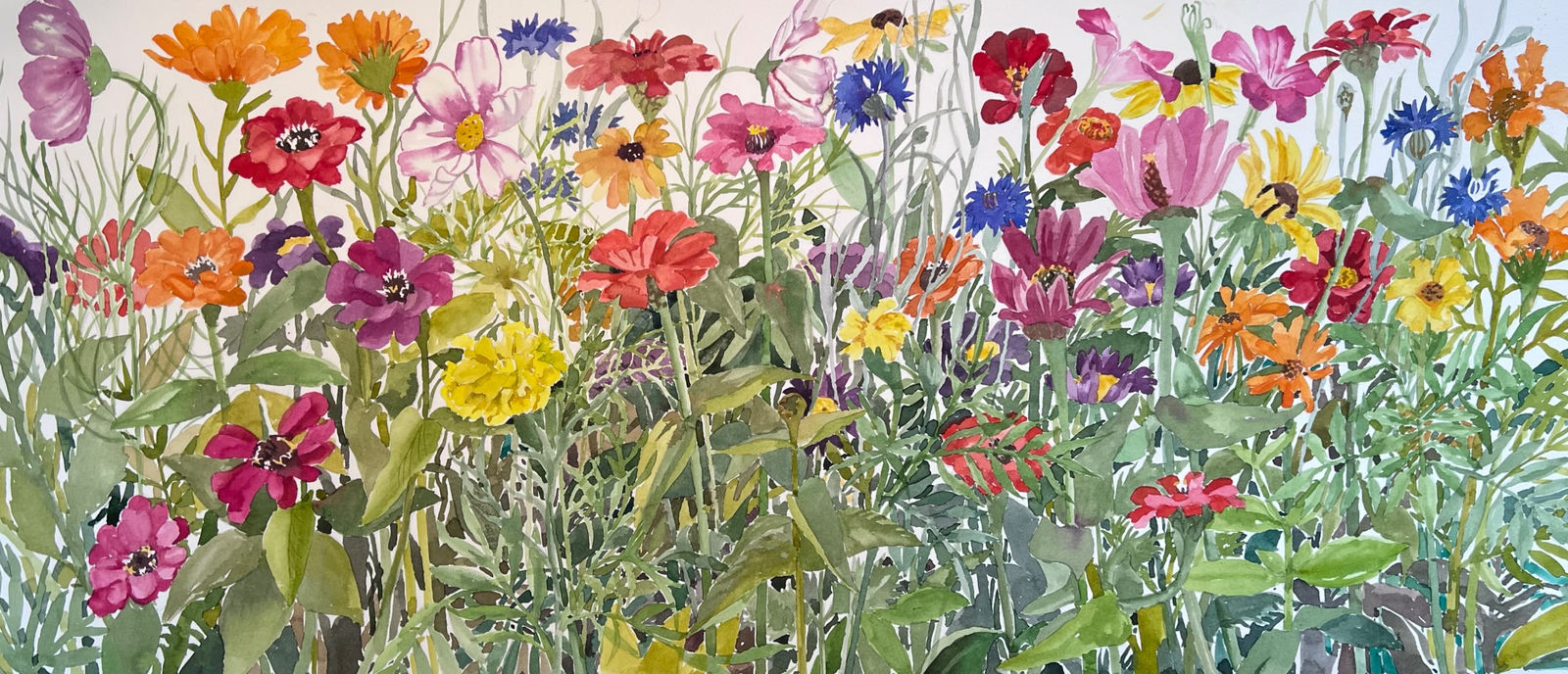 Celia Lewis, Summer Anuals