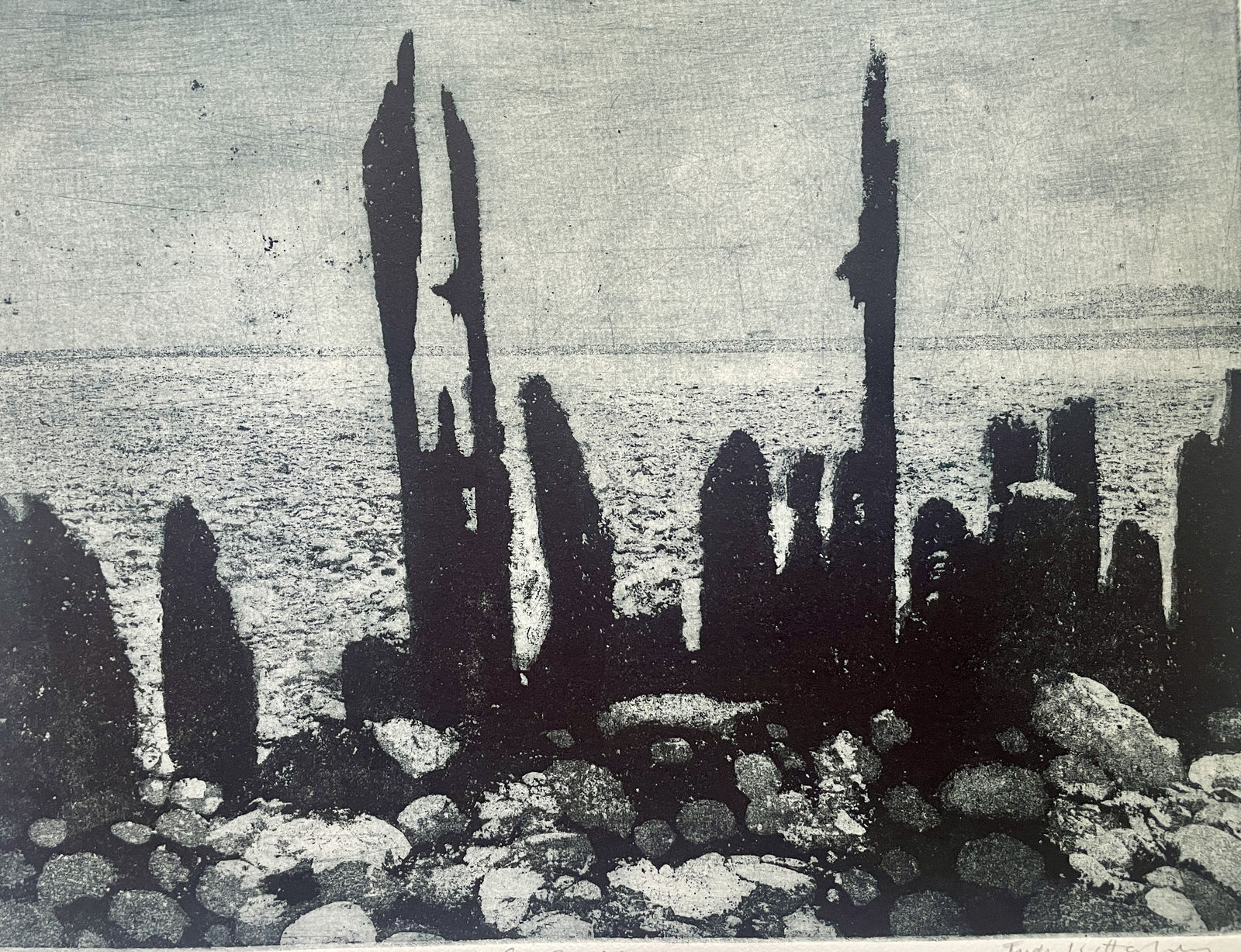 Judy Willoughby Ret RE, Coast - Groynes