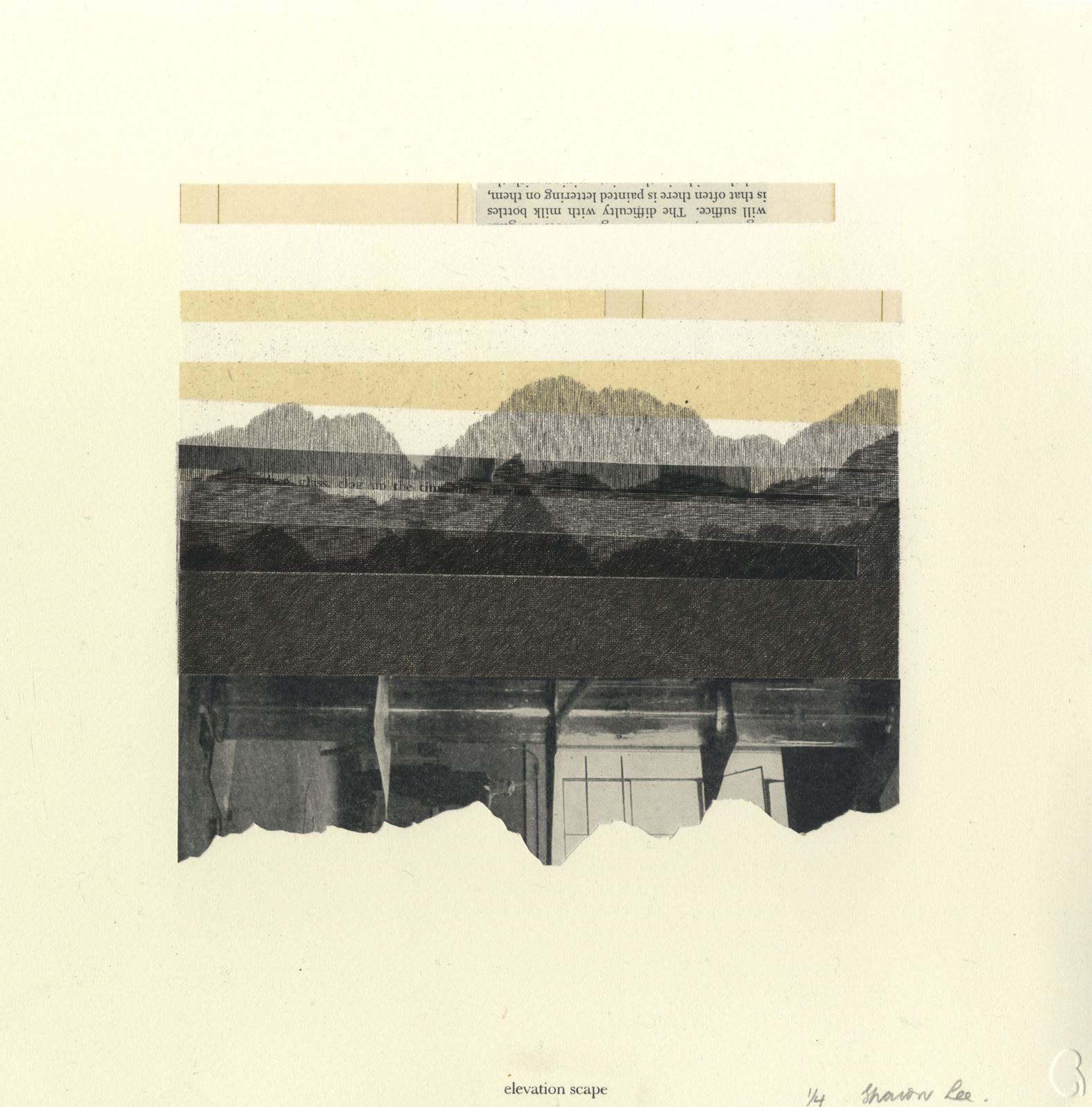 Sharon Lee RE, Elevation-Scape 3