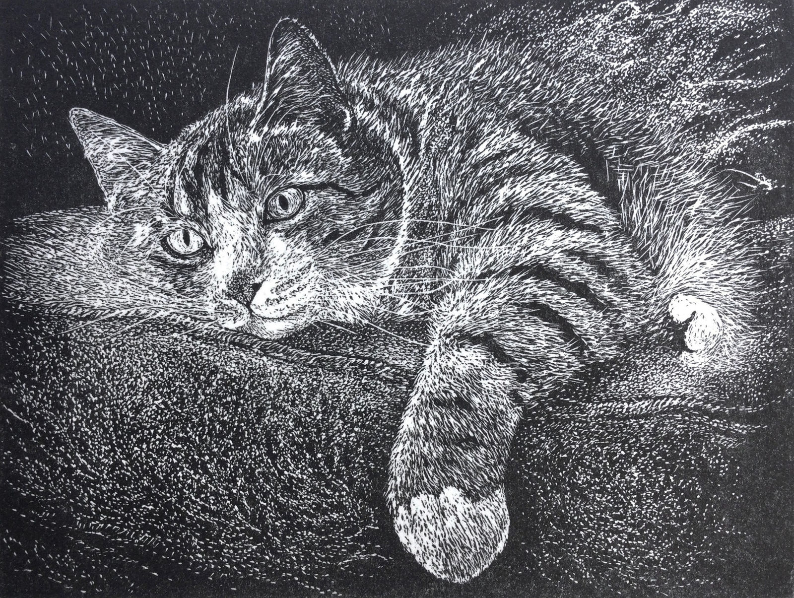 Ann Tout RE, By the Fireside