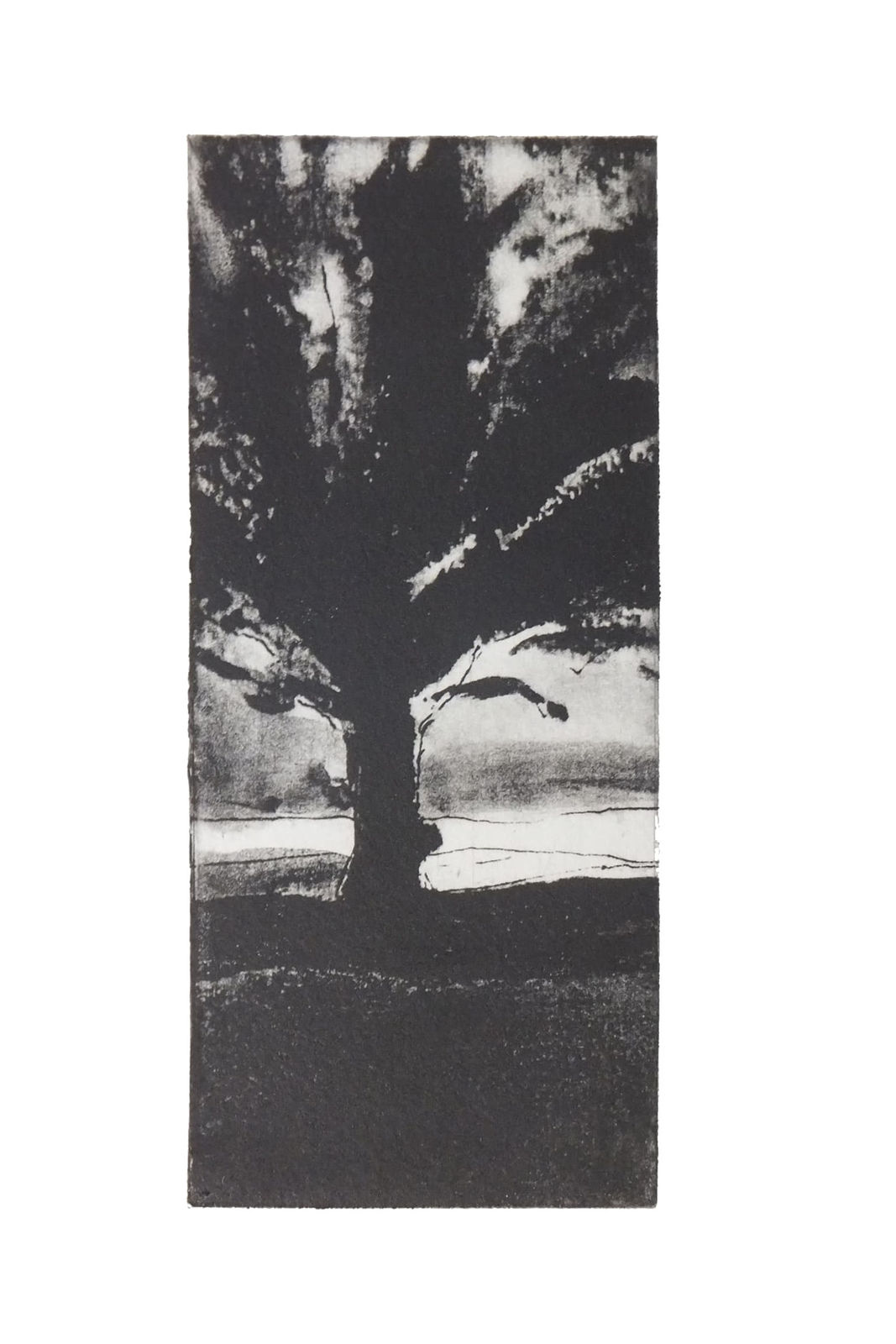 Martyn Brewster ARE, Winter Trees No.2