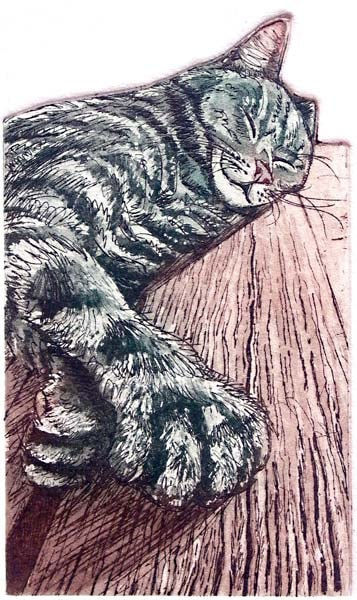 Glynn Thomas RE, Big Pause