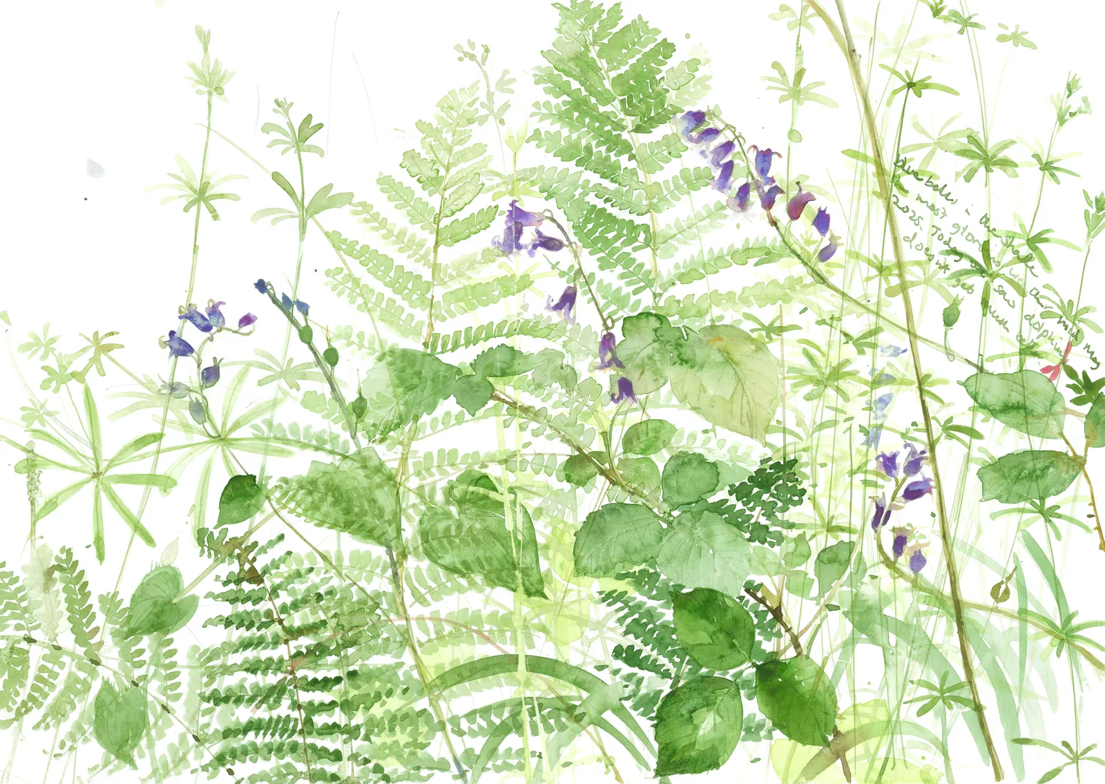 Emma Chambers RWS, Today We Saw Dolphins