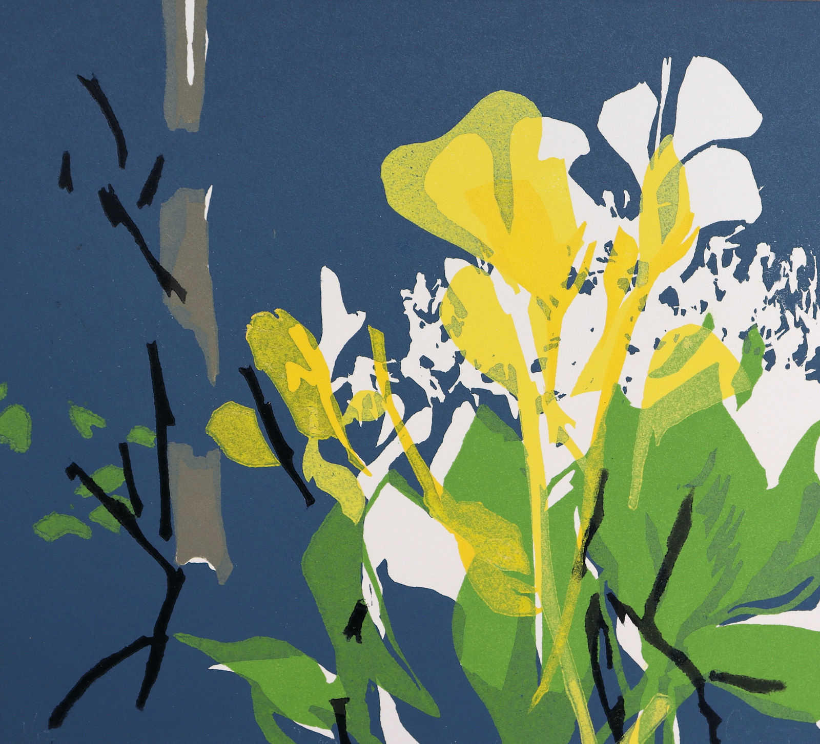 Rachel Gracey RE, Canna Lily Yellow