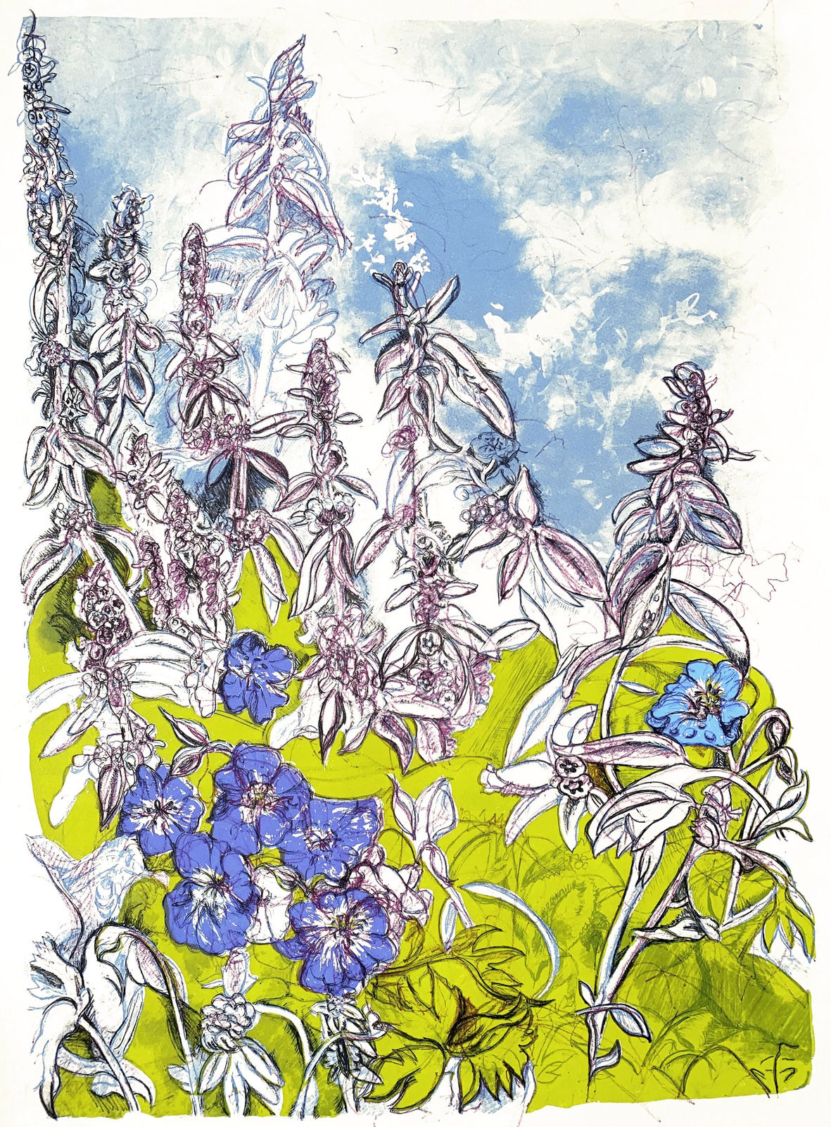 Denise Ballard-Wyllie ARE, Chelsea Physic Garden Meadow Cranesbill