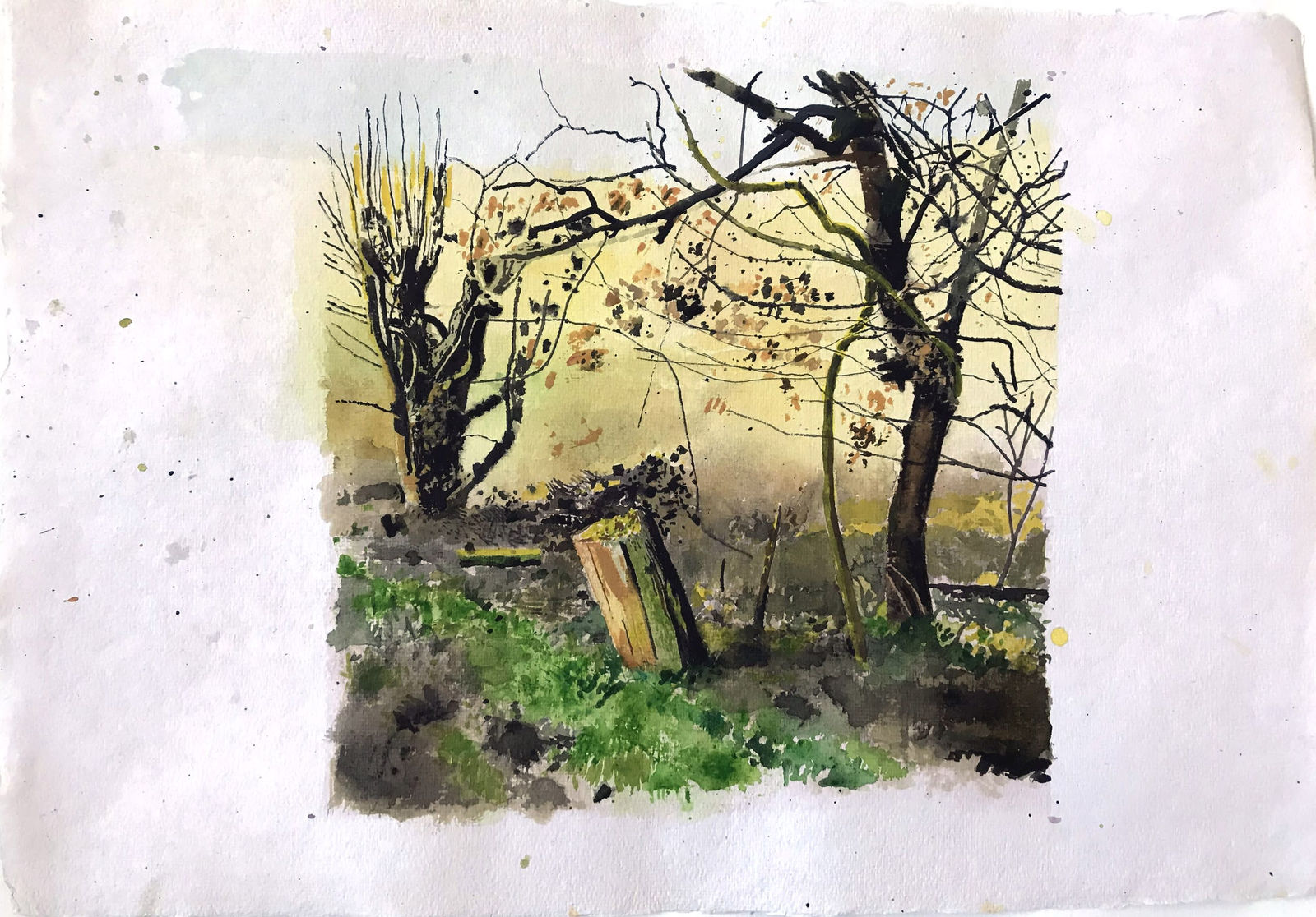 Iain Nicholls ARWS, Elsecar Cropped Trees Study 4