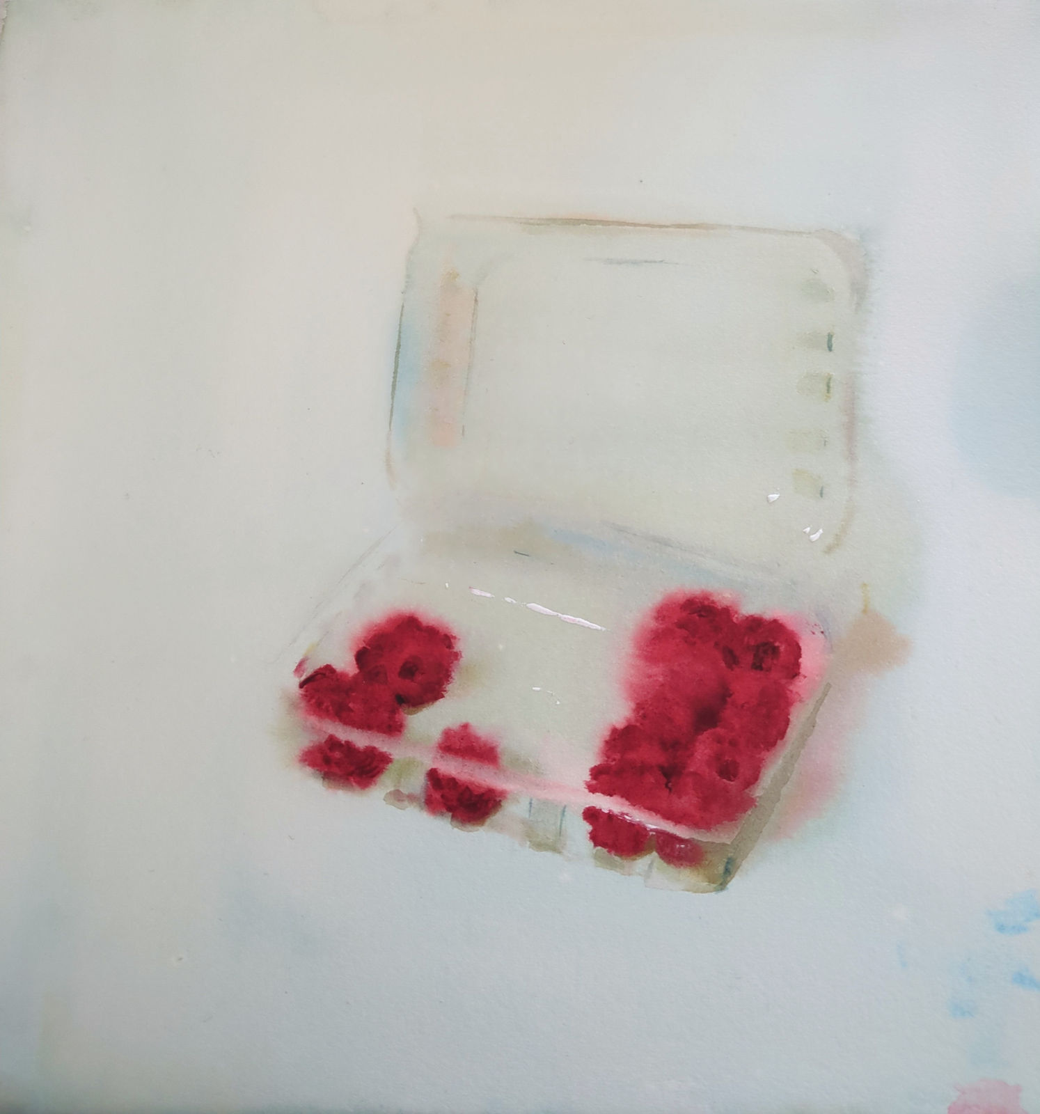 Núria Riera, Raspberries