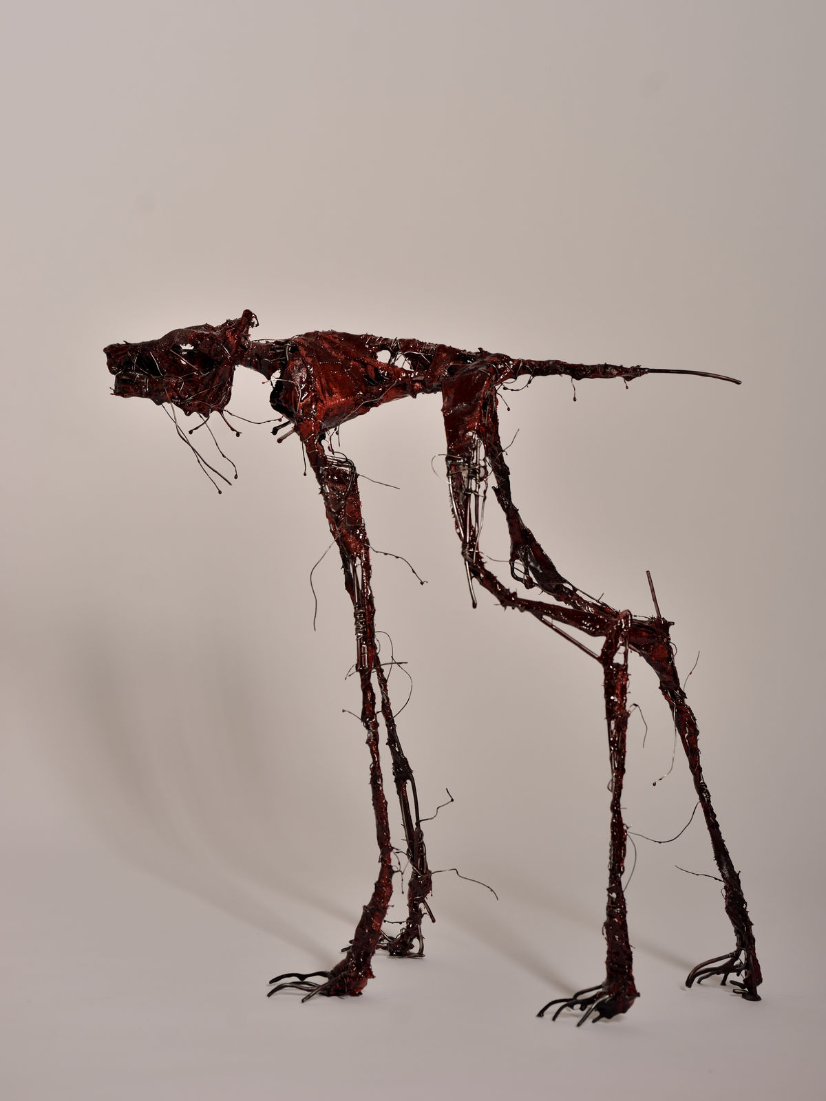 harry de dood, bloedhond, 2022