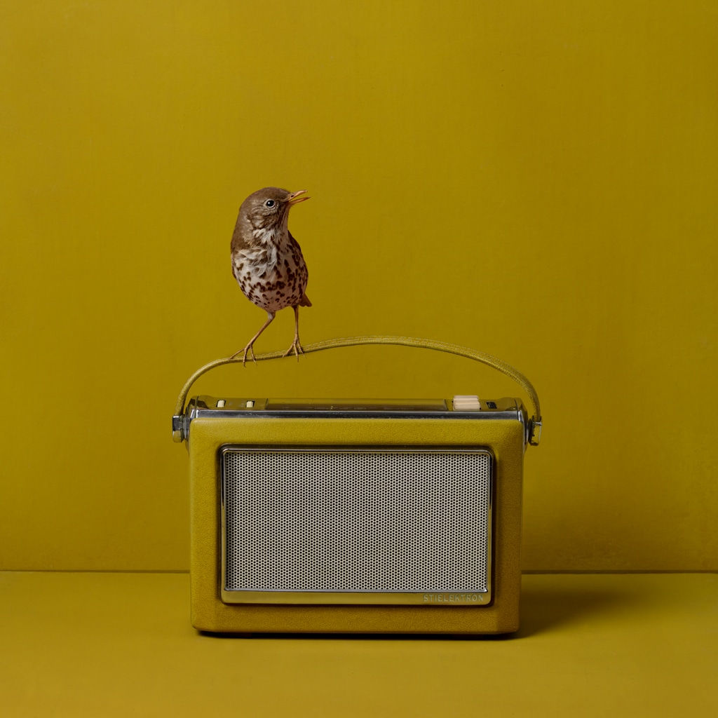 Kaat Stieber, Radio, 2024