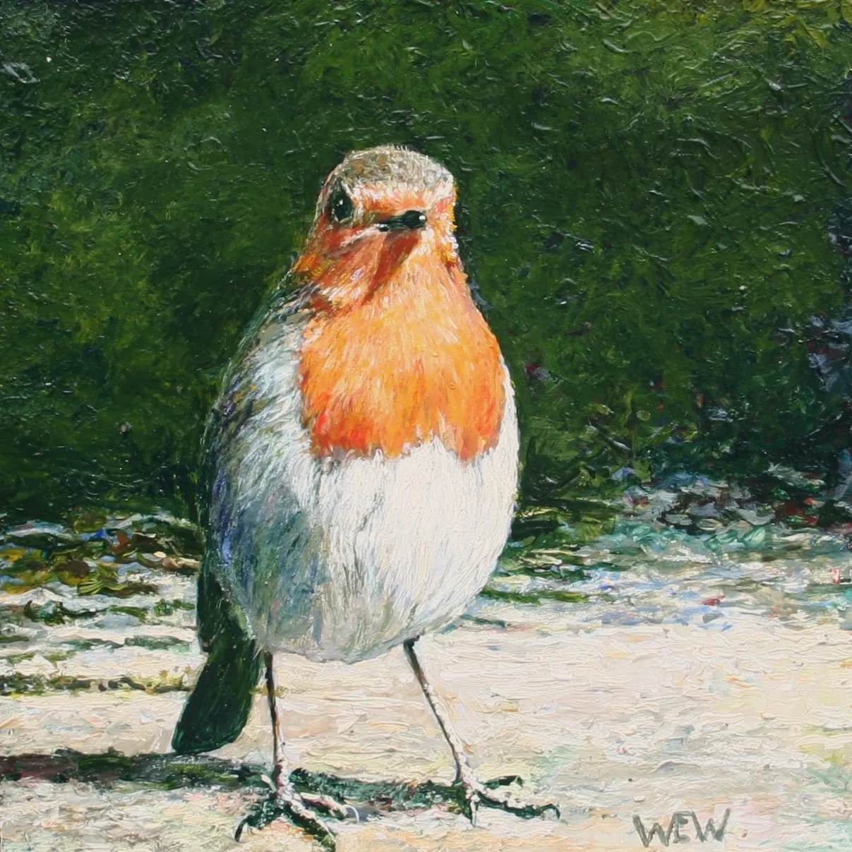 Wout Wachtmeester, "Kom maar op", 2025