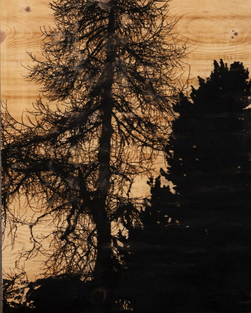 Douglas Mandry, Resilienza no. 5, Engadine, 2022