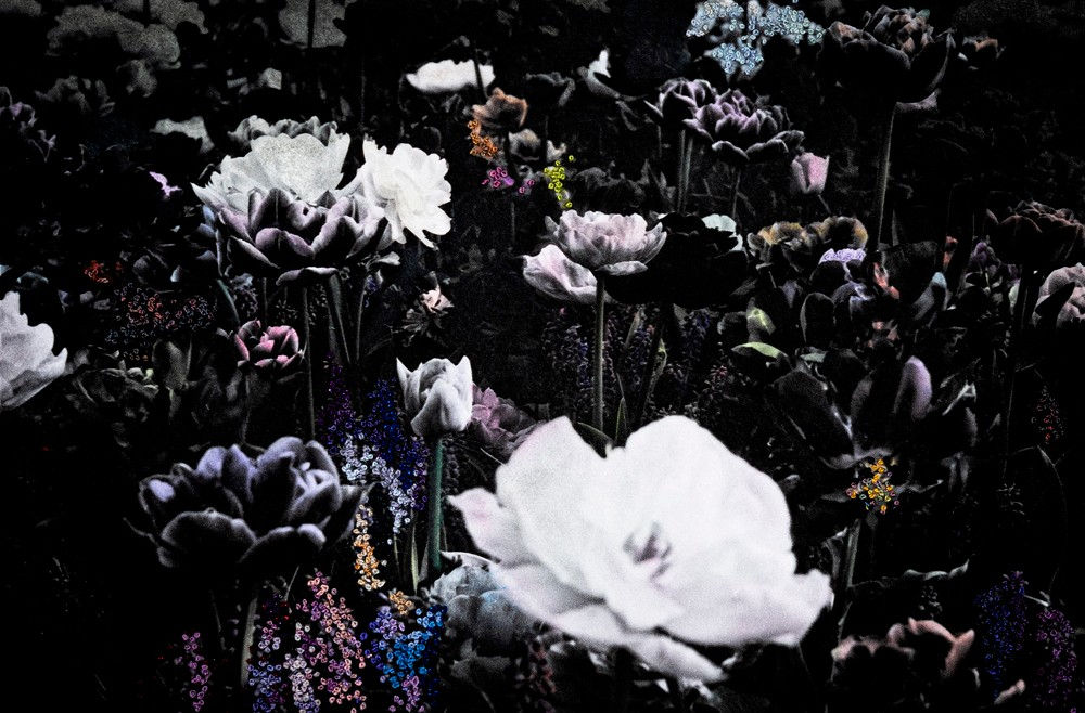 Aimée Hoving, Spring border mix, 2023