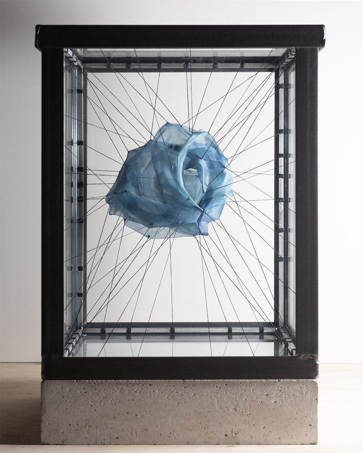 Adam Jeppesen, Work no. 197, from the series Tank, 2025