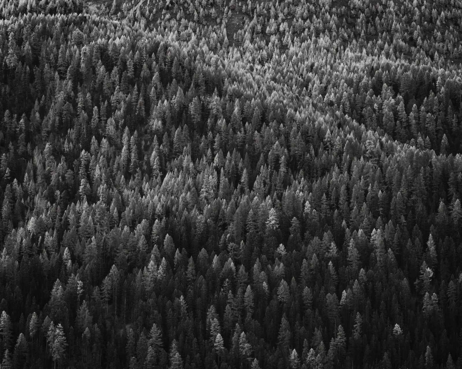 Jeffrey Conley, Autumn Hillside, Engadine, Switzerland, 2023