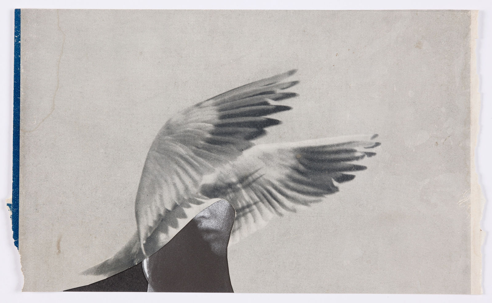 Miriam Tölke, Fan Out, 2021