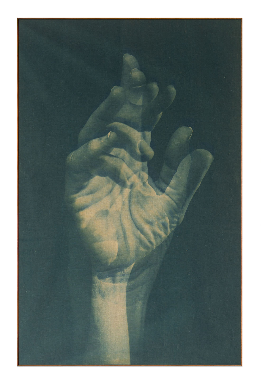 Adam Jeppesen, Work no. 166, from the series The Pond, 2025