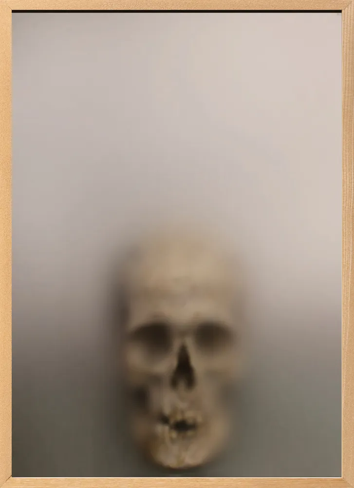 Casper Faassen, Recollection Tanimbar Skulls I, 2026