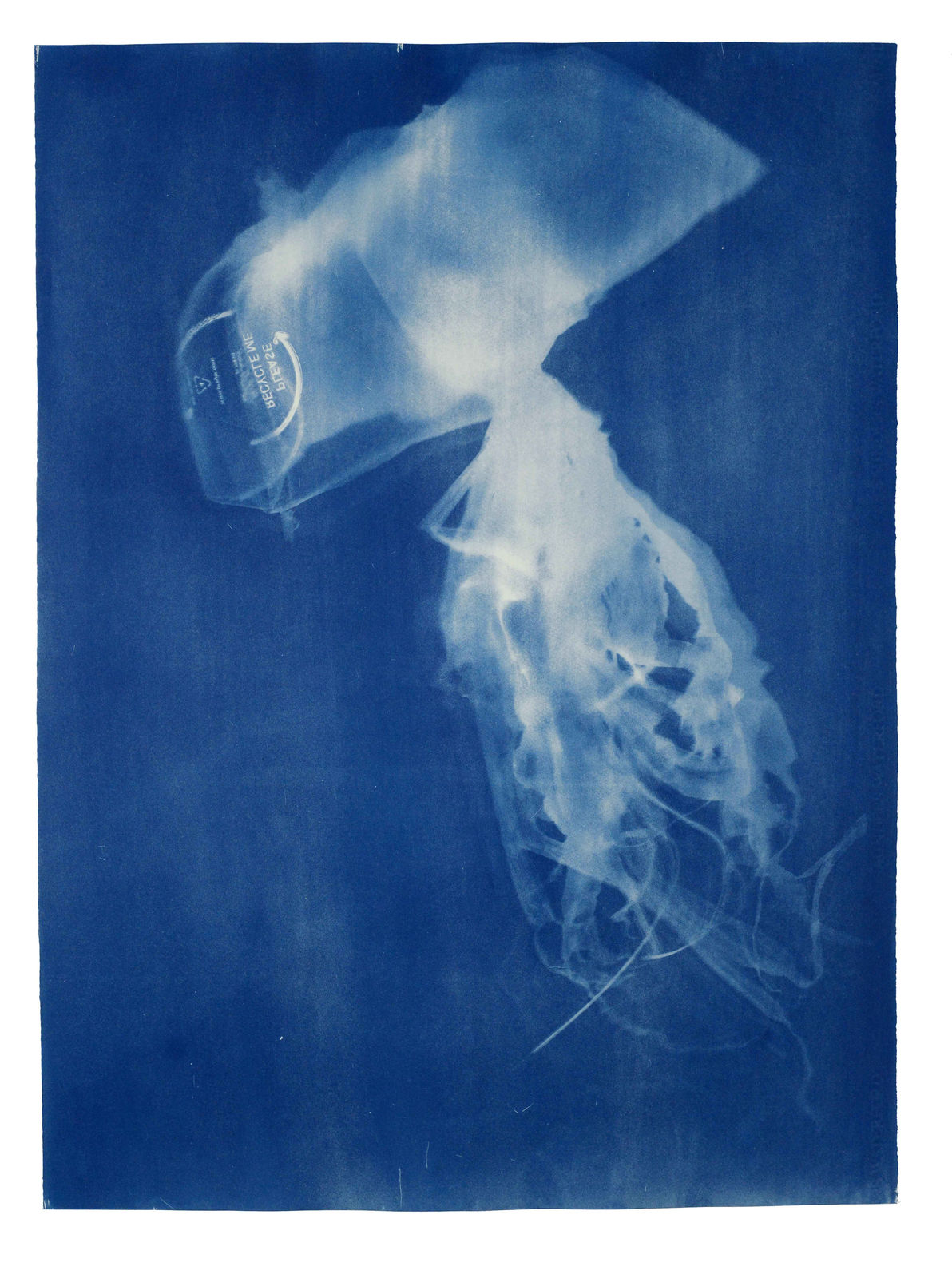 Rachel Thomson, Invasive Medusa no. 15, 2023