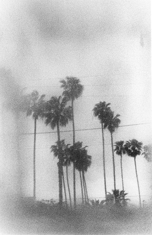 Renato D'Agostin, Archeologies Los Angeles, 2013