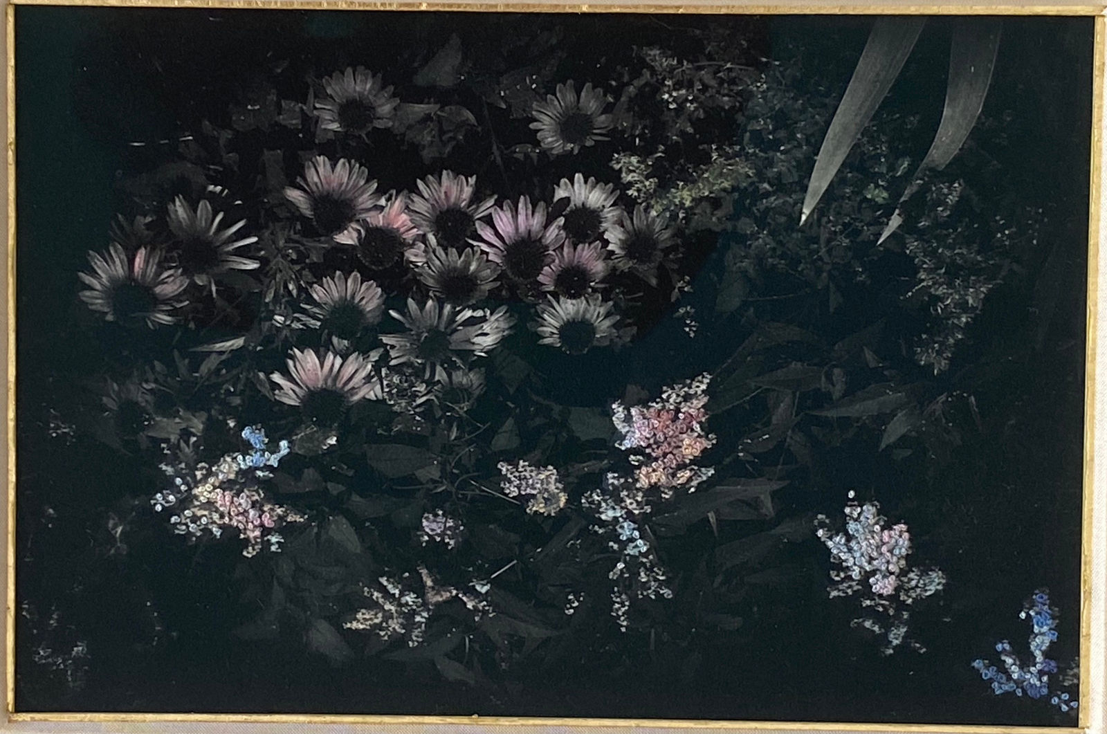Aimée Hoving, Flower bed with pink Echinacea, 2023