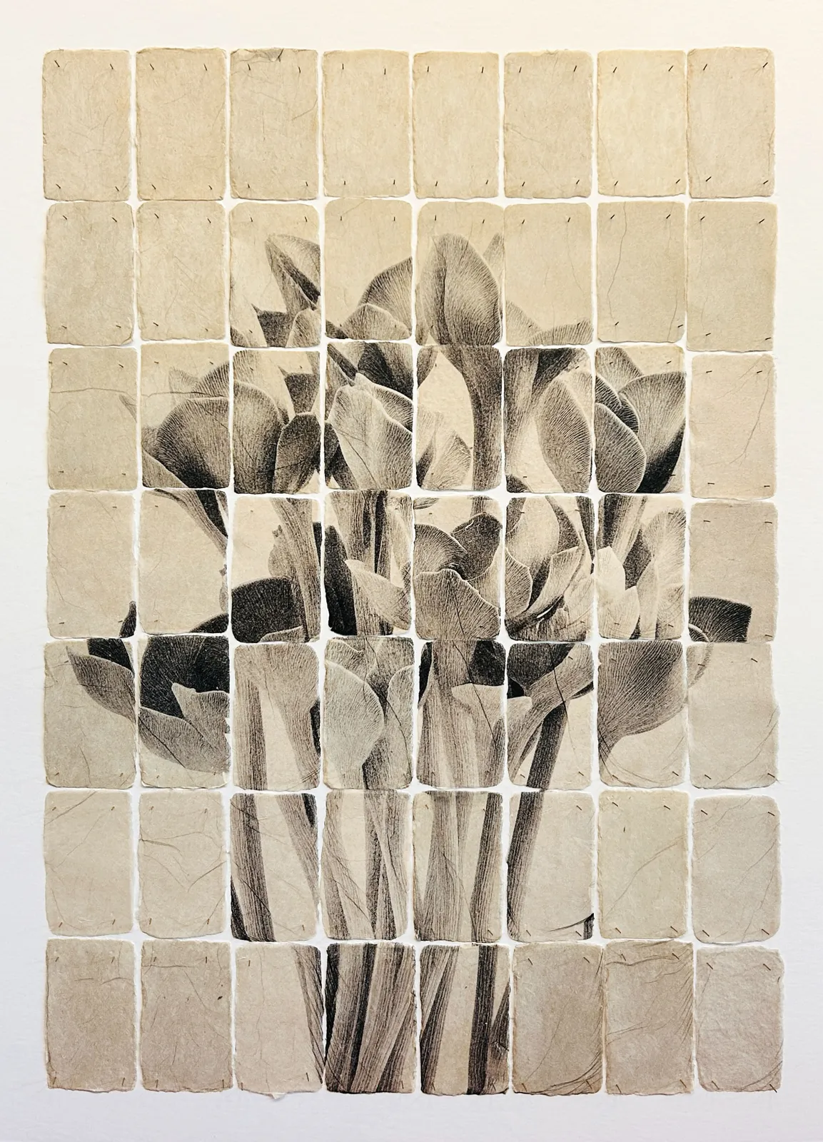 Joost Vandebrug, 26-23 (based on) calla, 2026