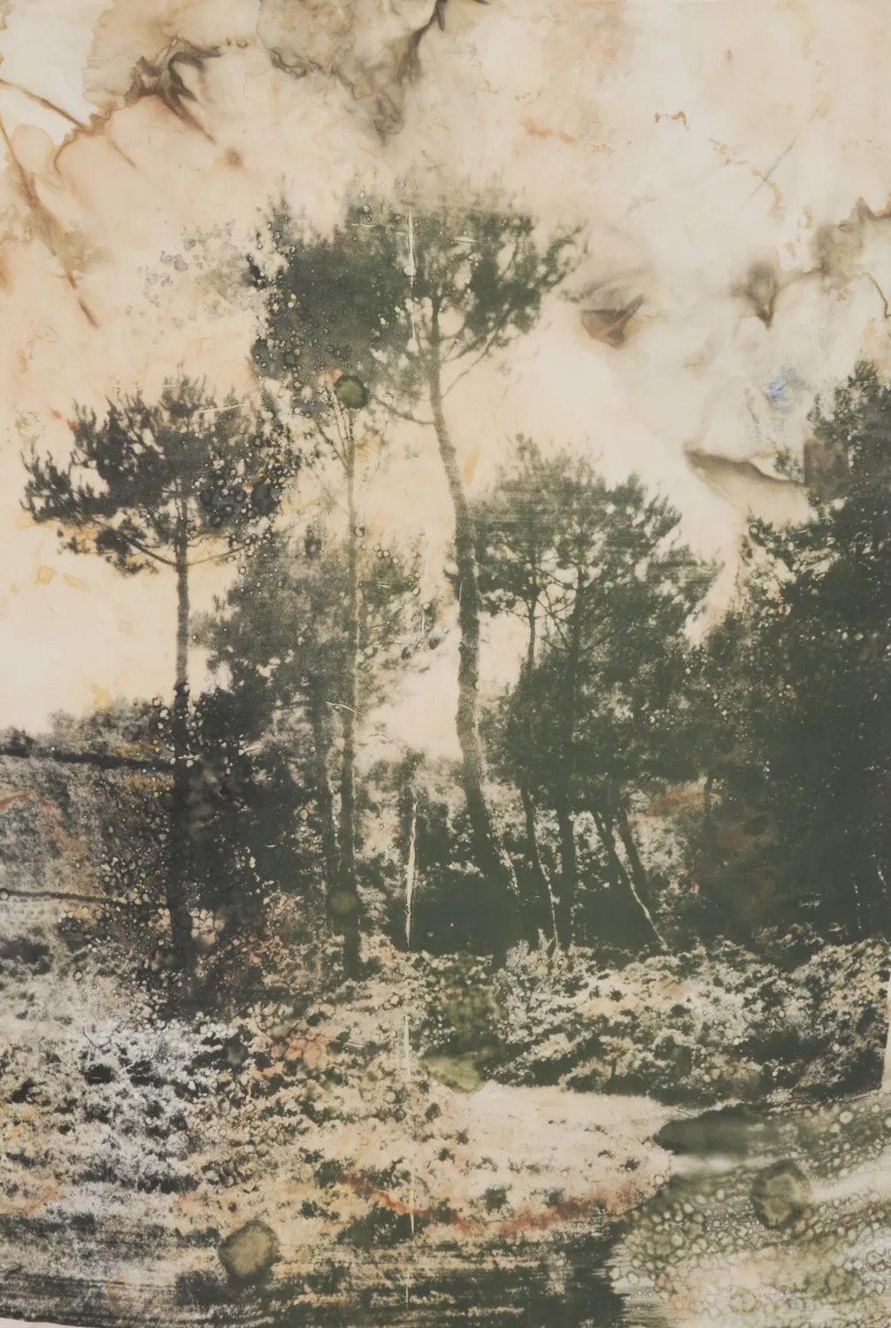 Douglas Mandry, A21860-1, from the series Les Archives de la Planète, 2026