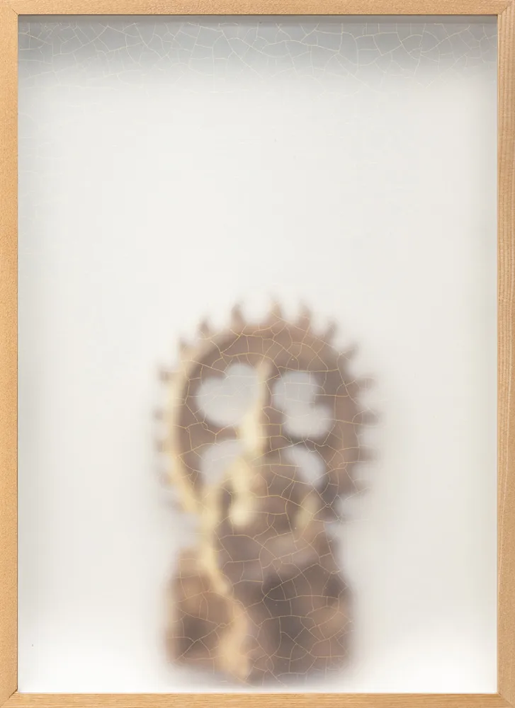 Casper Faassen, Recollection Kuwera, 2026