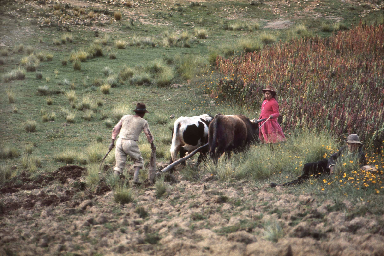 René Groebli, Peru 11, 1972