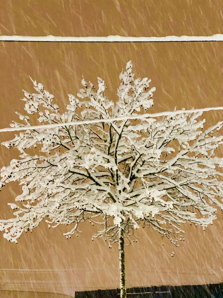 Philipp Keel, Blizzard, 2021