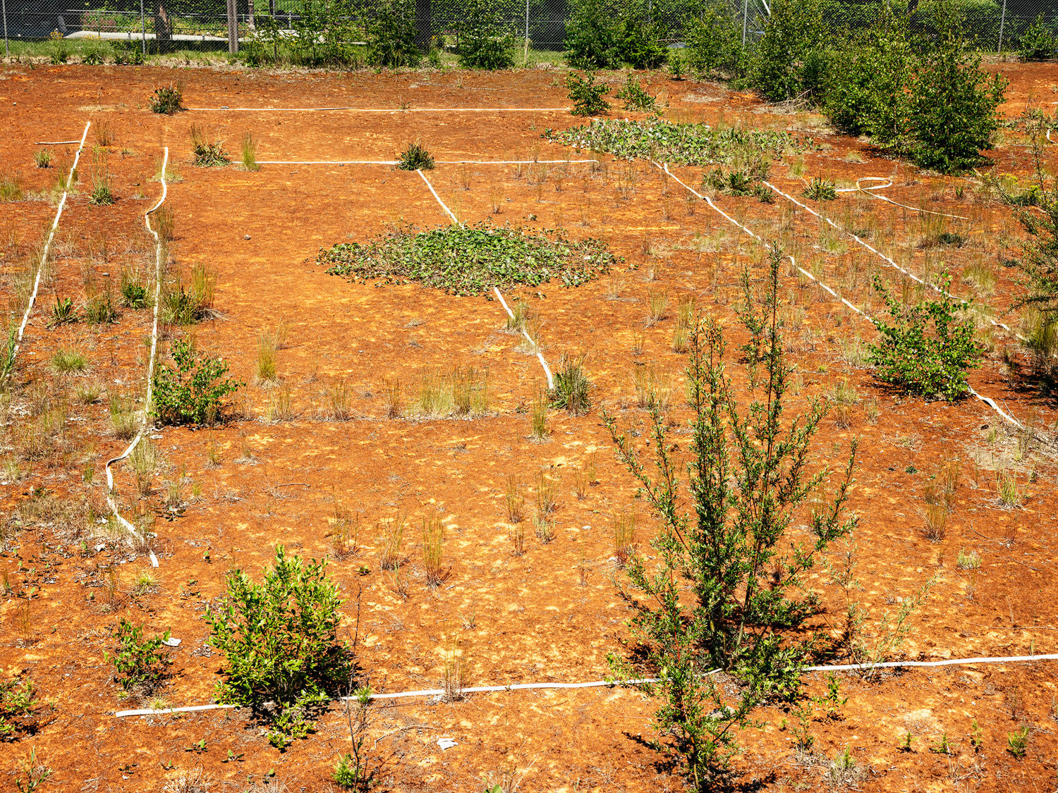 Bruno Augsburger, Reconquista, 2023