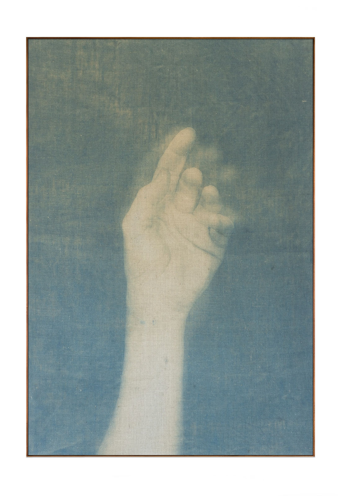 Adam Jeppesen, Work no. 171, from the series The Pond, 2025